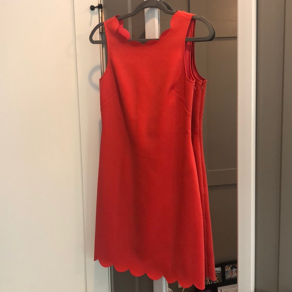 Business professional J Crew Dress